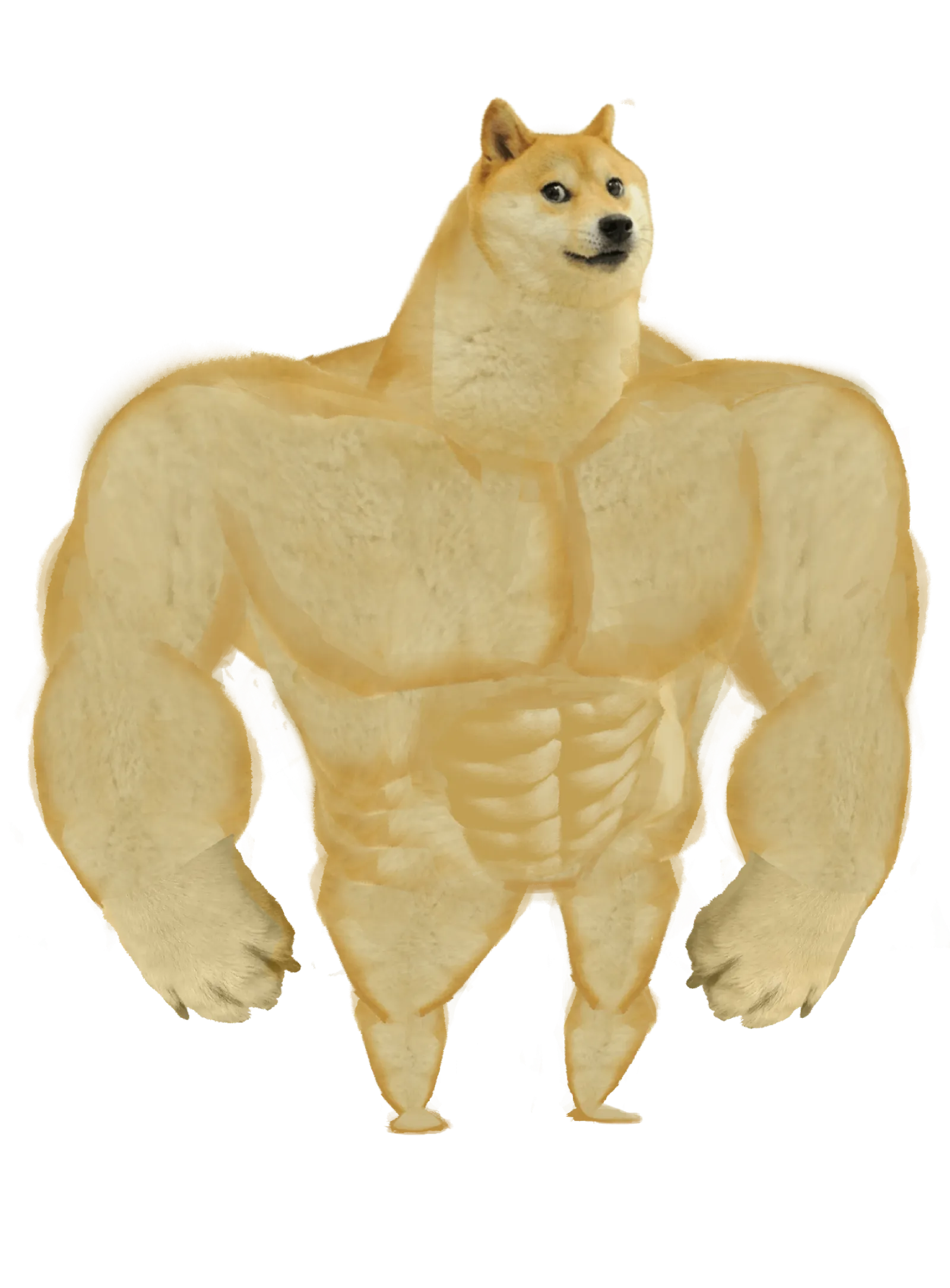 Shib