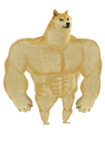 Shib
